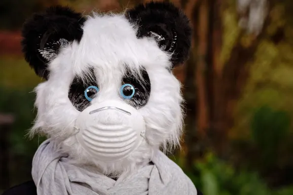 Thunderbolt Kasino Podpora